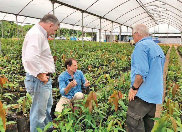 Tecnología israelí a prueba en el campo panameño