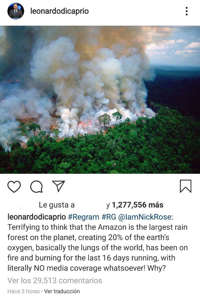 Leonardo DiCaprio y otras celebridades alzan su voz a favor del Amazonas
