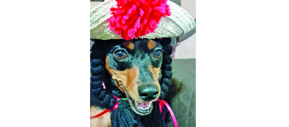 Amy y la vitalidad