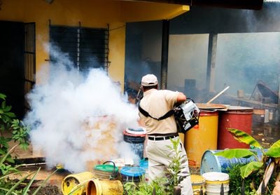 Minsa reporta tres defunciones por dengue, incluyendo dos menores de edad en la última semana