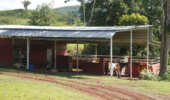 Exministro Guillermo Ferrufino y la finca de El Lirio