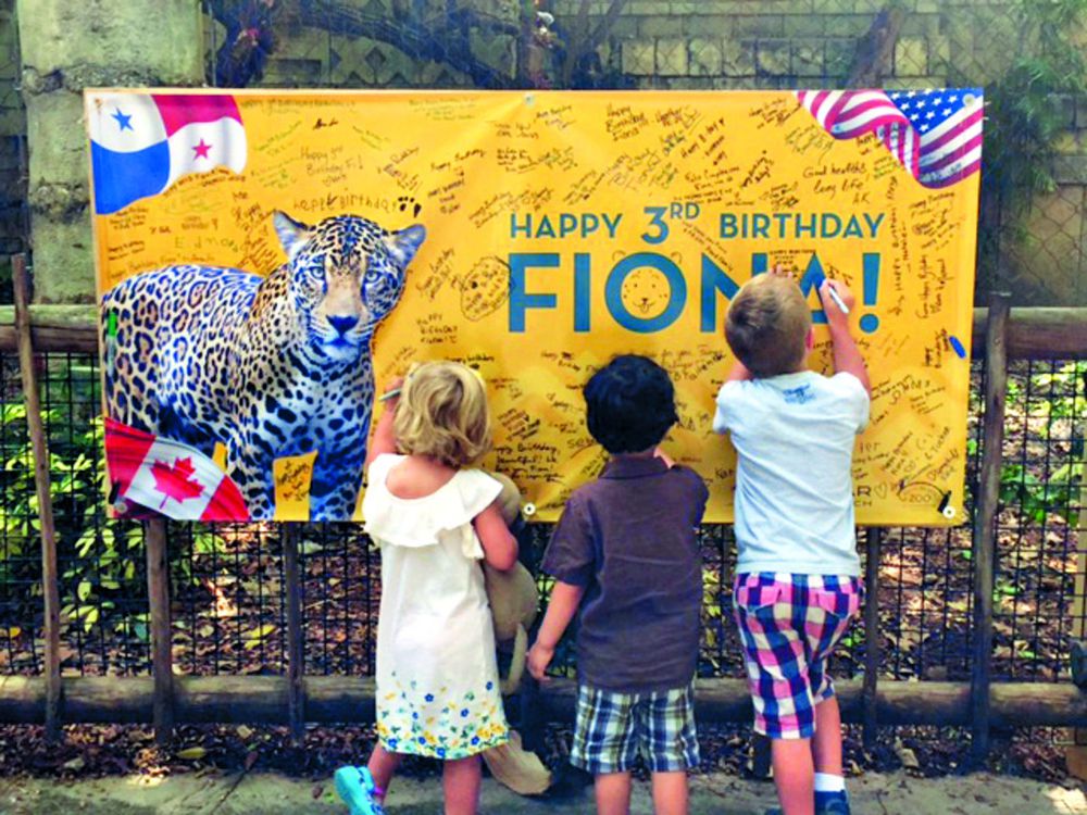 Celebran el cumpleaños de Fiona
