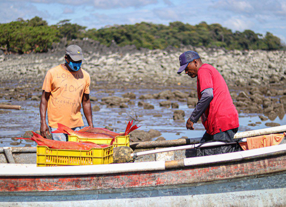 Mujeres y hombres en la pesca artesanal: Perspectiva de género en su actividad