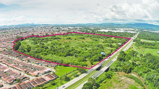 Rector de la Universidad de Panamá cede valiosas tierras