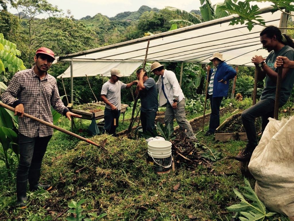 La permacultura florece en Panamá