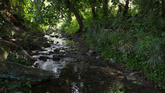 Matasnillo: Río que brilla, río que muere