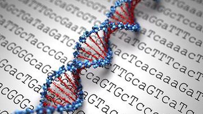 Biología celular: La célula es la unidad primordial de los seres vivos, ya que todos están formado por ellas.