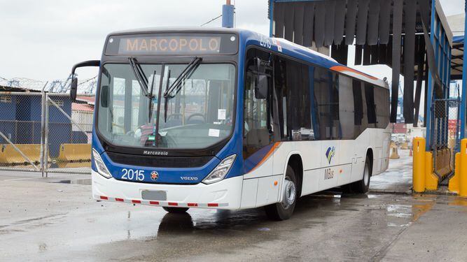 Mi Bus: Llegaron los últimos buses que completarán la flota de 203 vehículos
