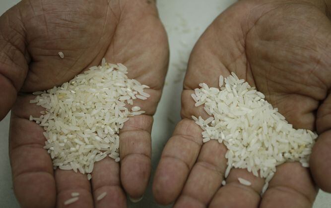 Panamá negocia contrato con multinacional de EU para reexportar arroz