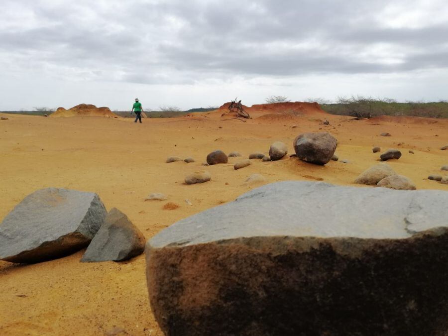 La Atracción Turística Del Parque Nacional Sarigua La Prensa Panamá