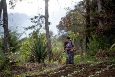 Destacan el papel de las mujeres rurales para garantizar la seguridad alimentaria