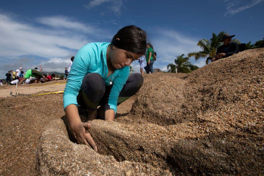 Concurso de figuras de arena en la playa de Veracruz