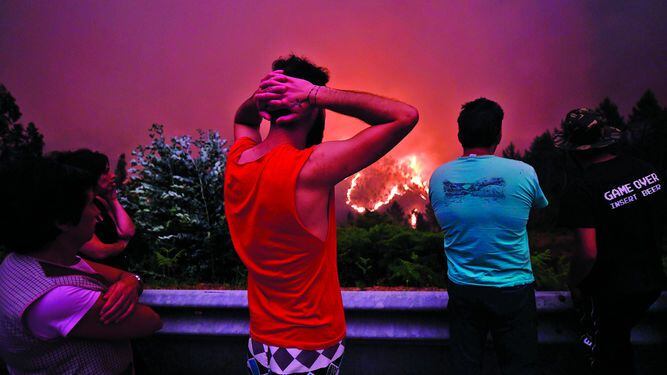 Incendio forestal deja 61 muertos | La Prensa Panamá