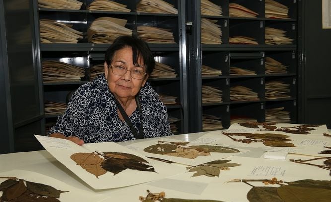Muere Mireya Correa, la primera botánica panameña