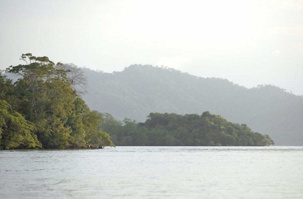 Mesoamérica se compromete a proteger sus  más grandes bosques en la COP25