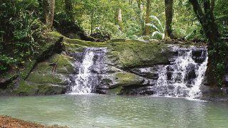 Sendero El Charco Un Rincon Desconocido La Prensa Panama