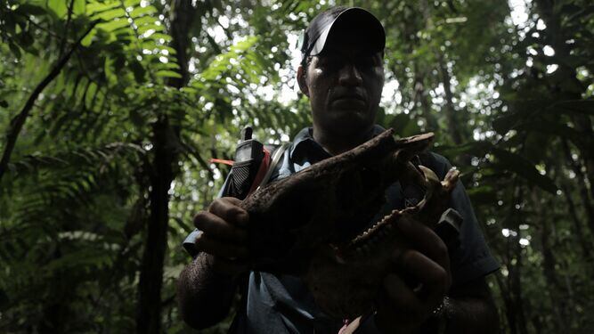 'Tierra Adentro': las amenazas que sortea la selva del Darién