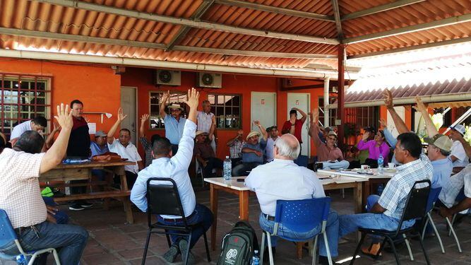 Productores alistan manifestación para el 21 de febrero en Divisa