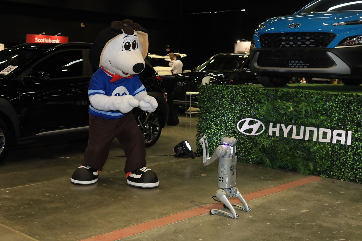 Primera Feria de Verano Hyundai 2023