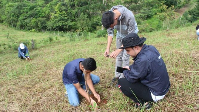 Reforestan cuencas de los ríos La Villa, Parita y Santa María