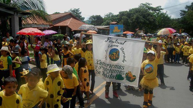 El Valle de Antón: Comunidad respalda festival en honor a la rana dorada