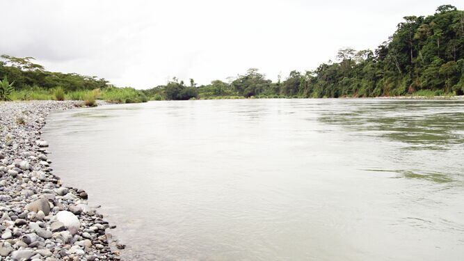 Nuevos proyectos hidroeléctricos pondrán en peligro al PILA: Unesco