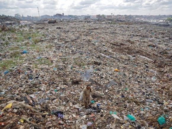 Estudian causas de la enorme extinción masiva