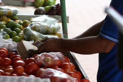 70 millones de personas en Latinoamérica, sin ingresos suficientes para costear la canasta básica de alimentos