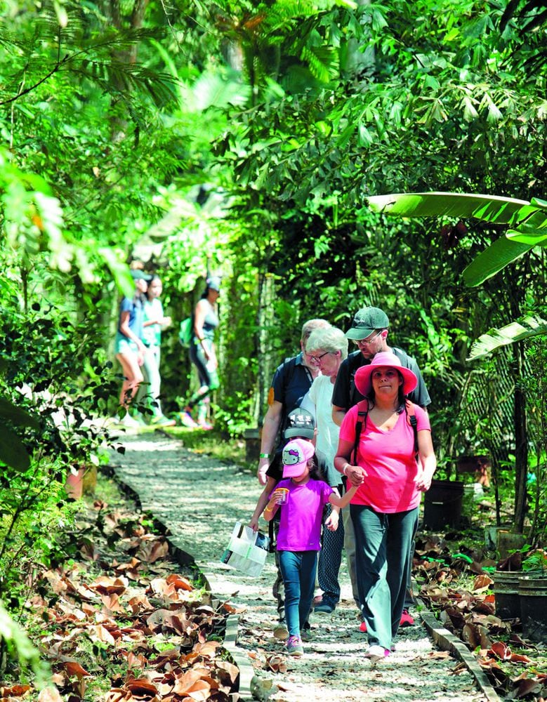 Carnaval al natural