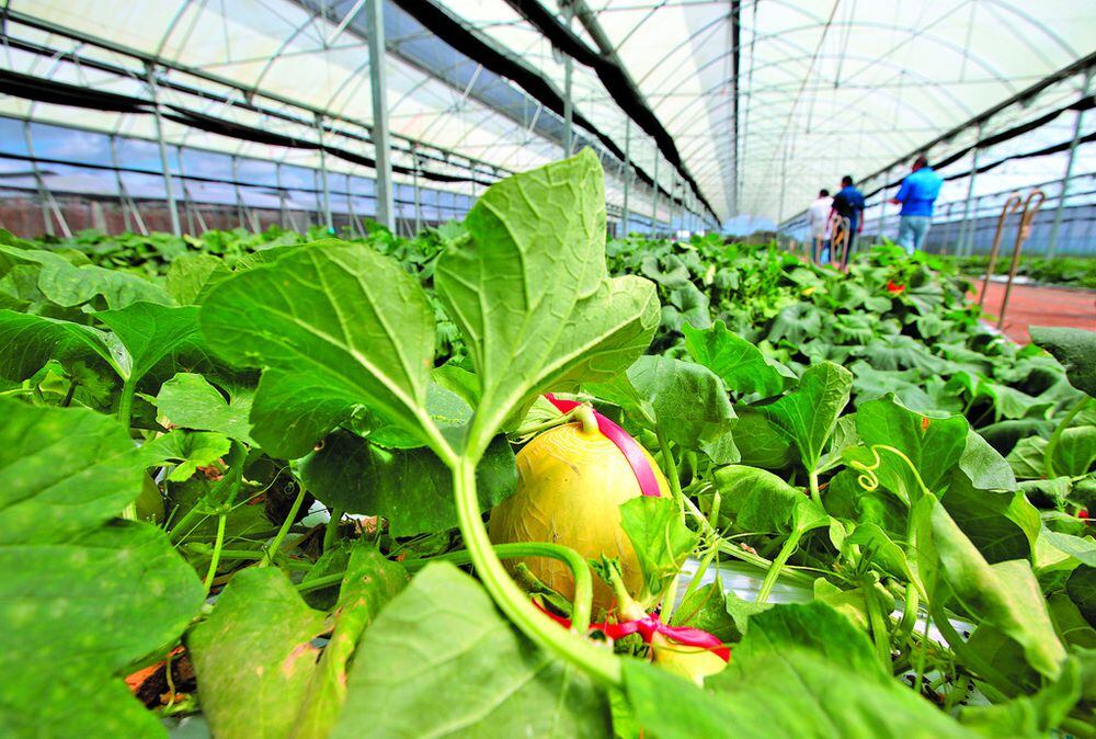 Buenas prácticas en el agro