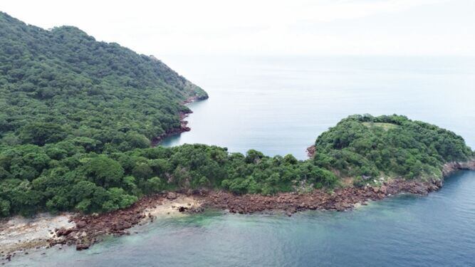Isla Boná, en espera de decreto que evite destruir hábitat marino
