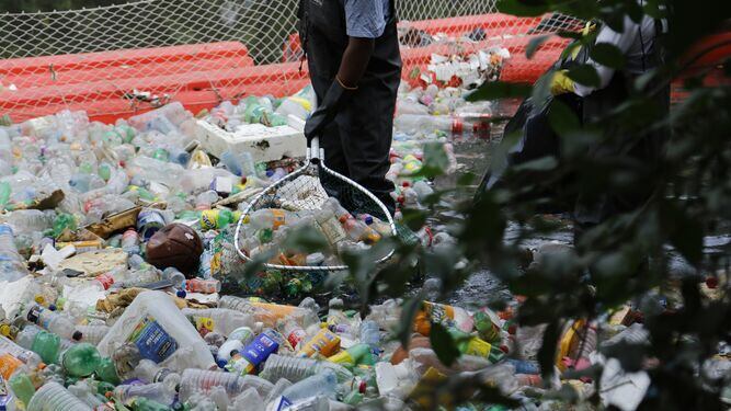 32 comercios son multados por incumplir norma que prohíbe uso de bolsas plásticas de polietileno