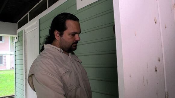 Pelícanos, en peligro por intoxicación