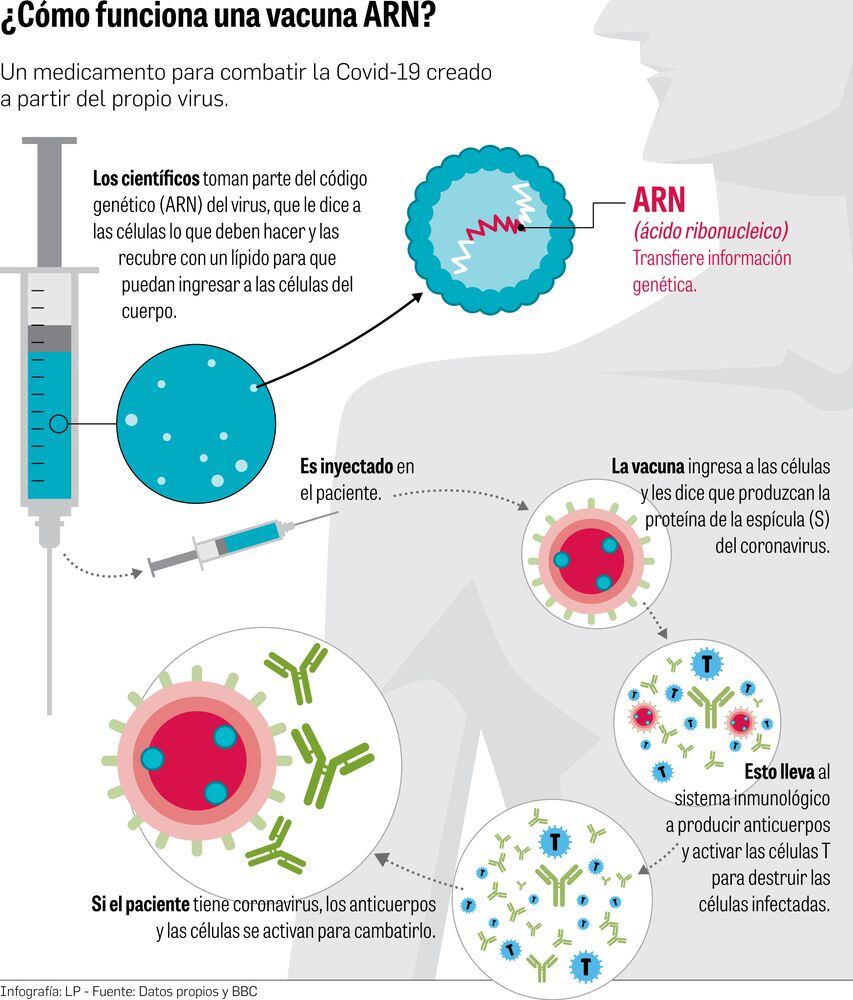 Vacunas contra la Covid-19 exigen una compleja logística 