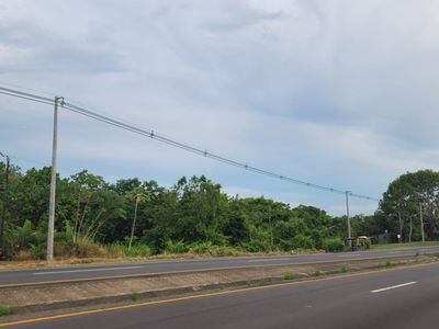 Naturgy fortalece la Infraestructura Eléctrica en Panamá con un Nuevo Circuito Ecológico de 34.5kV en Río Hato, San Carlos y Zonas Circundantes   