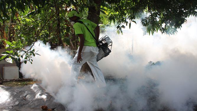 Minsa reporta 272 casos de zika